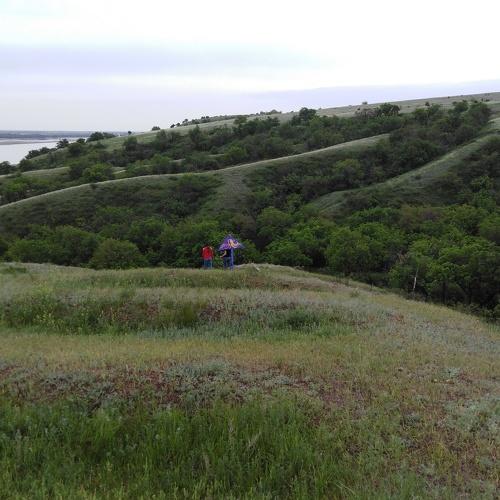 Photo #3843342