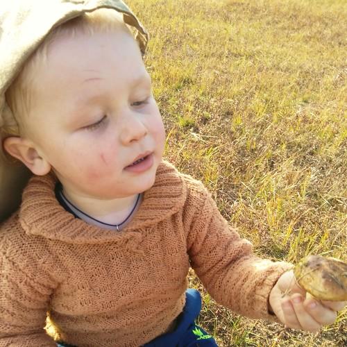 Photo #3843418