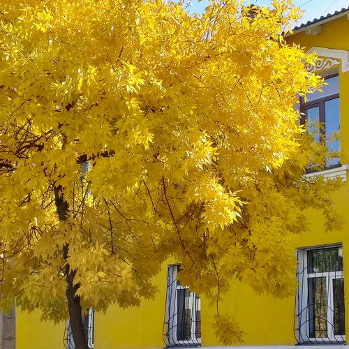 Photo #3843427