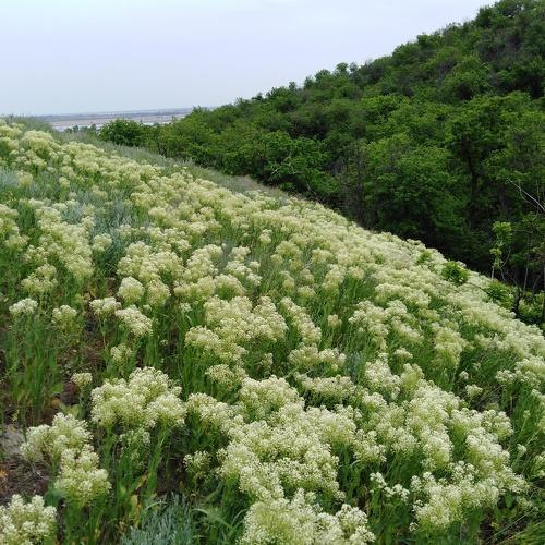 Photo #3843507