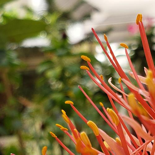 Photo #3843953