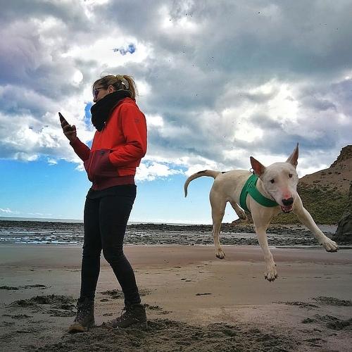 Photo #3844233