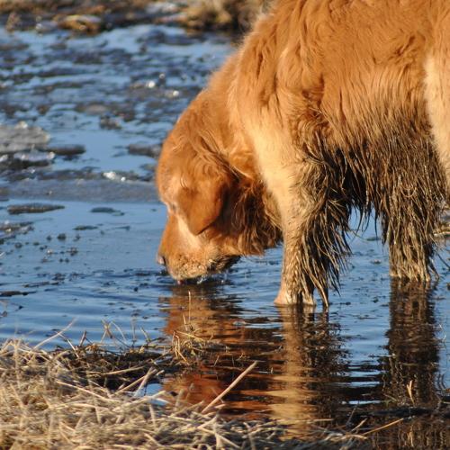 Photo #3844245