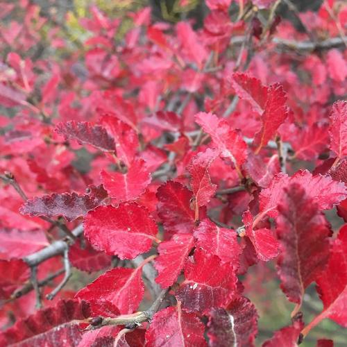 Photo #3844261