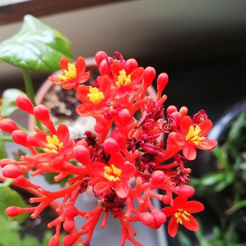 Photo #3844274