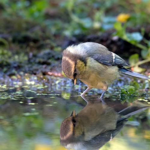 Photo #3844286