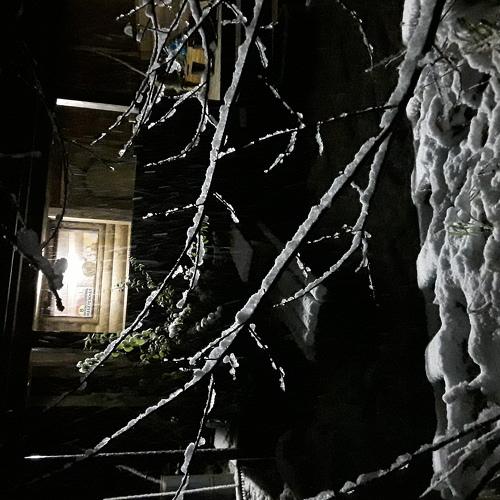 Photo #3844465