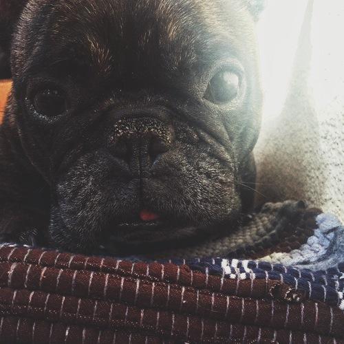 Photo #3844489