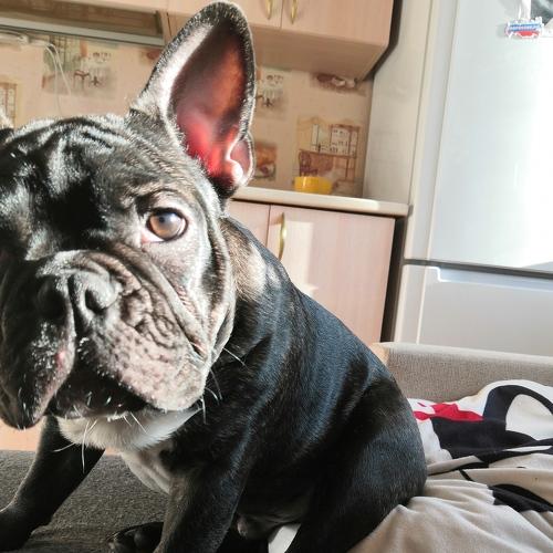 Photo #3844495