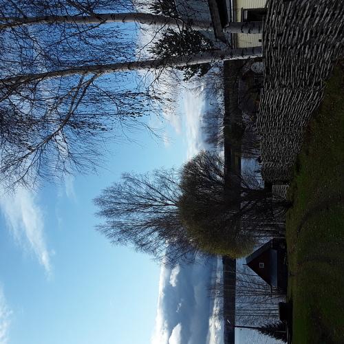 Photo #3844532