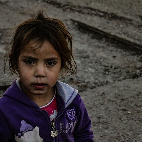 Photo #3844619