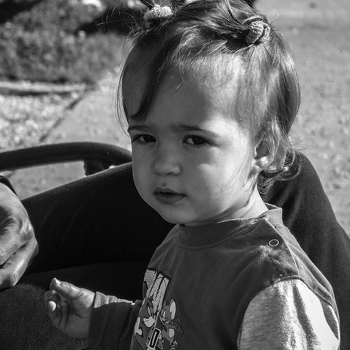 Photo #3844626