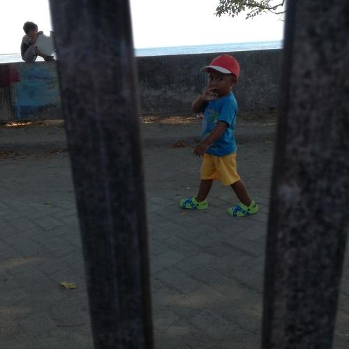 Photo #3844907