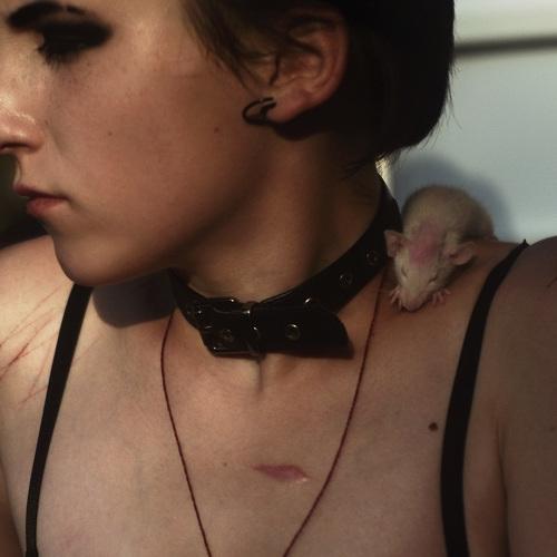 Photo #3845046