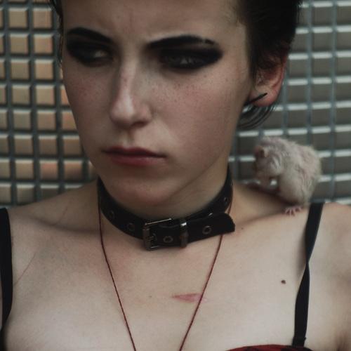 Photo #3845064