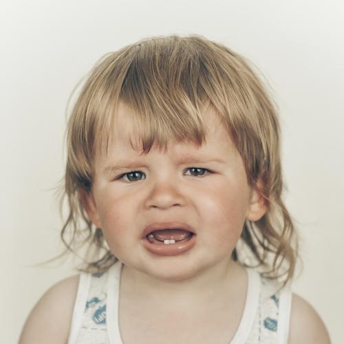 Photo #3845310