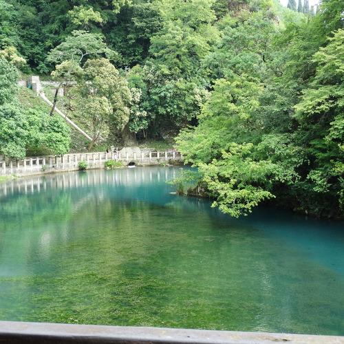 Photo #3845441