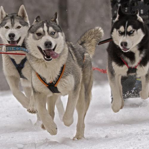 Photo #3845464