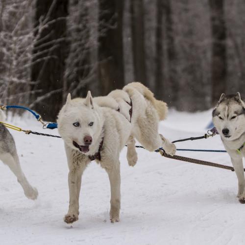 Photo #3845512