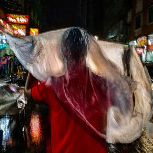 Photo #3845778