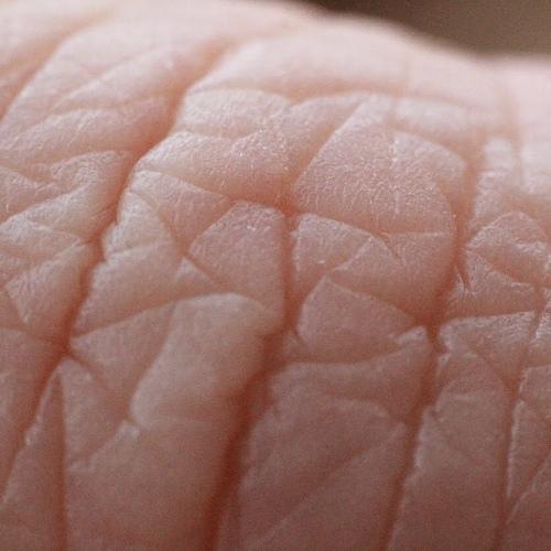 Photo #3846037
