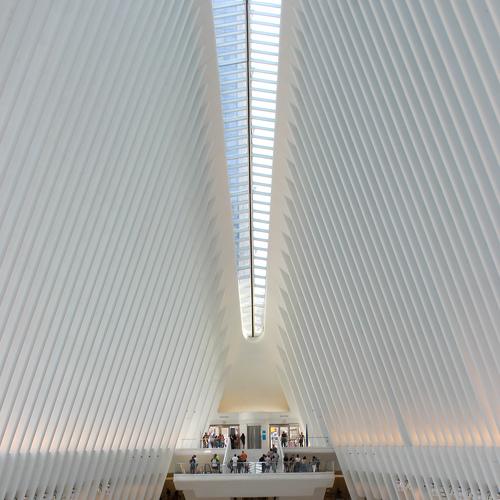 Photo #3847283