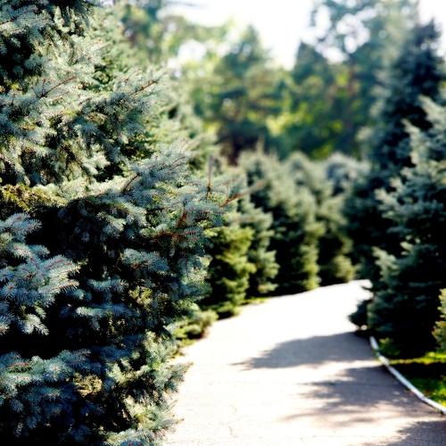 Photo #3848042