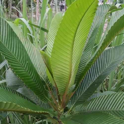 Photo #3848127