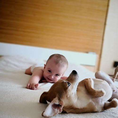 Photo #3848201
