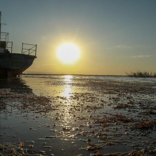 Photo #3848413