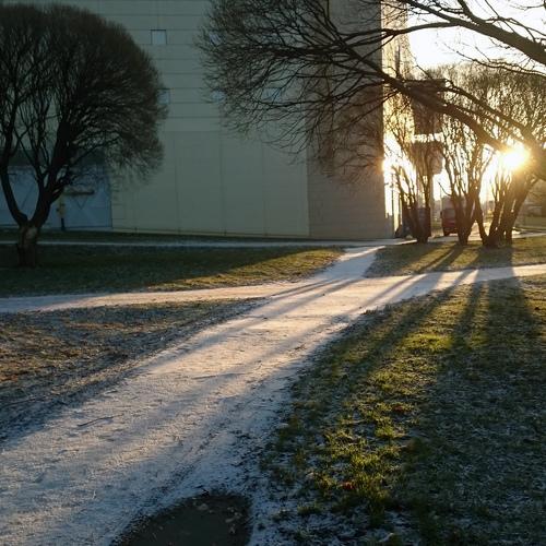 Photo #3848493