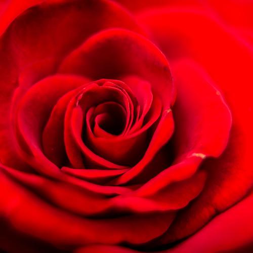 Photo #3850615