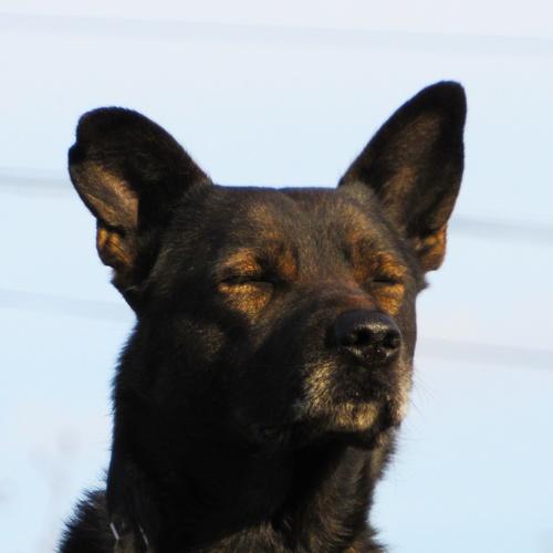 Photo #3850948