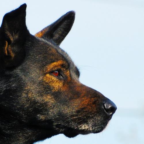 Photo #3850949