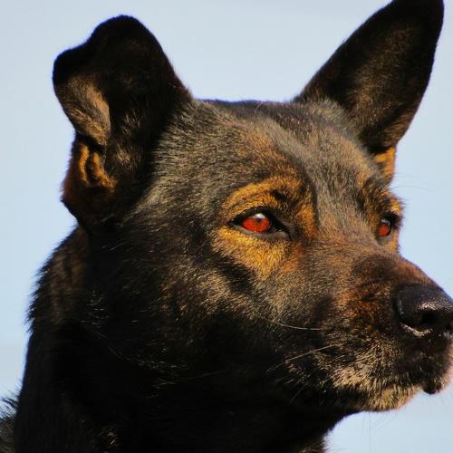 Photo #3850950
