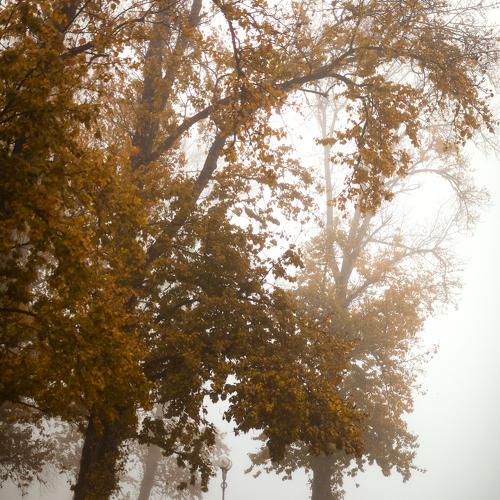 Фотография #3851452