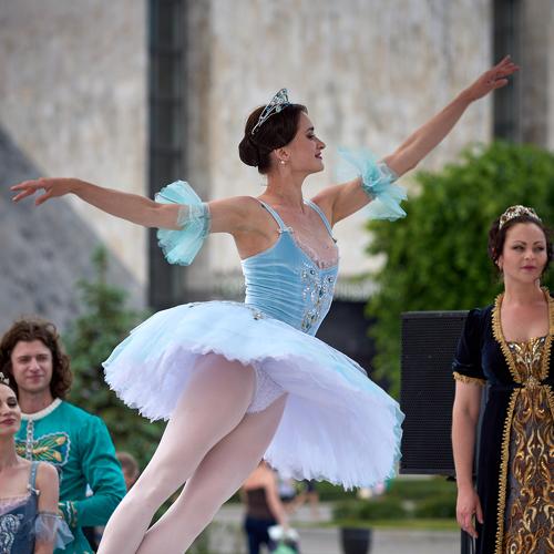 Photo #3851765