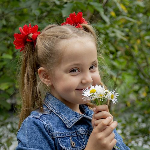 Photo #3852411