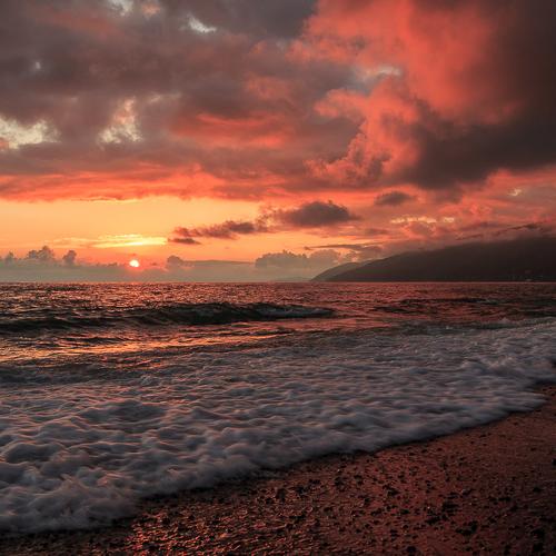 Photo #3852609