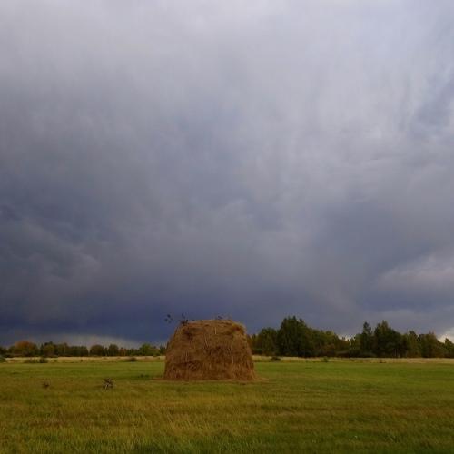 Photo #3852648