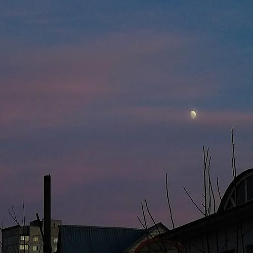 Photo #3852913