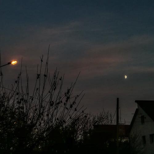Photo #3852917