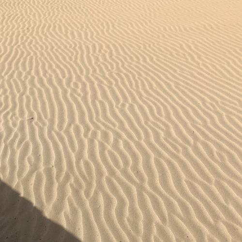 Photo #3853054