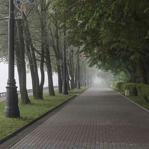 Photo #3853388