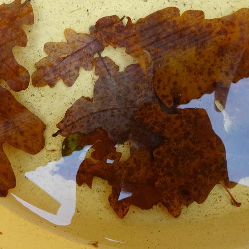 Photo #3853625