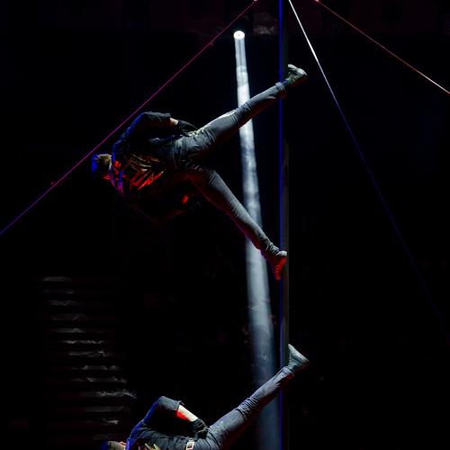 Photo #3853732