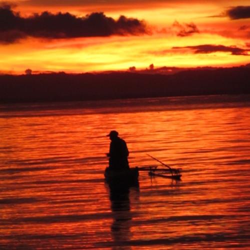 Photo #3853865