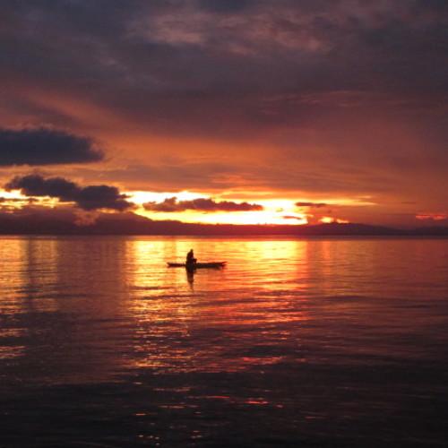 Photo #3853866