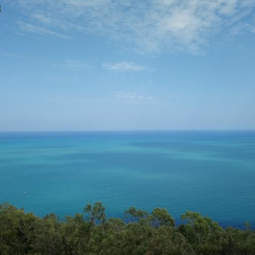 Photo #3854006