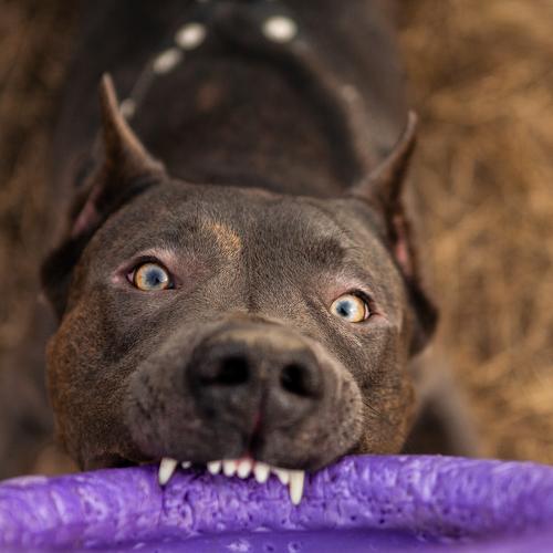 Photo #3854366